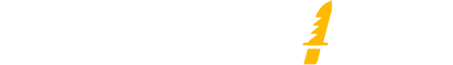 team banner