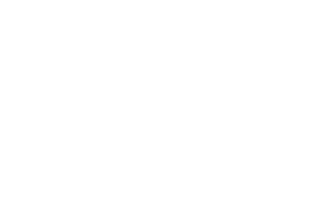 team banner