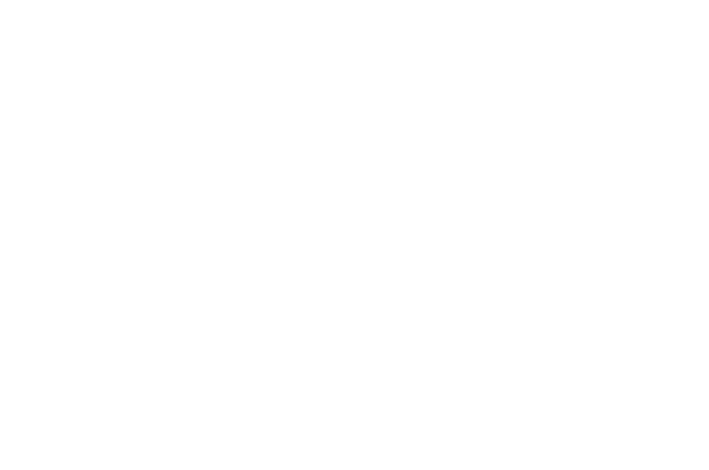 team banner